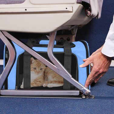 Транспортна сумка для кота та собаки, складана переноска для домашніх тварин середнього розміру (51 x 33 x 33 см, блакитна)