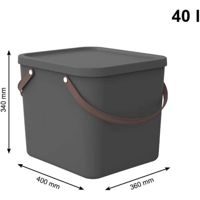 Rotho Albula Storage Box 40l with Lid, Plastic (Recycled PP), Green, 40l (40.0 x 40.0 x 34.0 cm) (Anthracite)