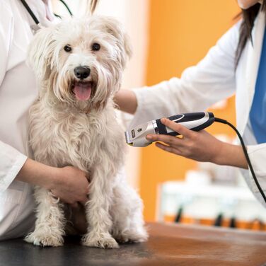 Професійна машинка для стрижки собак Nobleza: набір для грумінгу, тиха бездротова акумуляторна машинка для собак та котів