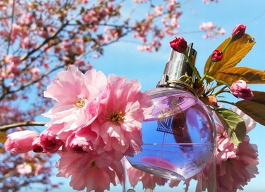 Парфумована вода Lanvin Éclat D'Arpege, 100 мл