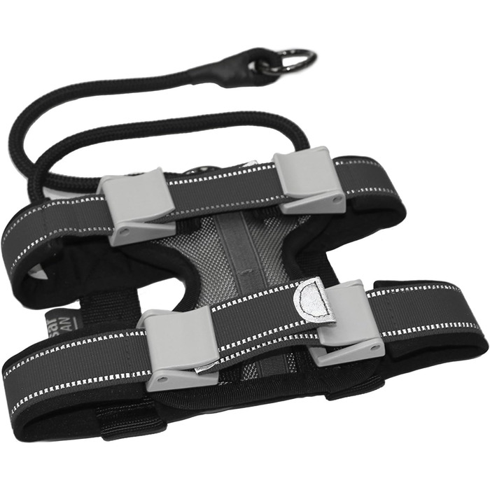 Pack Leader Collar™ - Dog Whisperer Cesar Millan Training Collar (Medium, Gray)