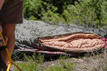 Сплячий мішок TETON Sports Celsius XXL; Великий, для сімейного кемпінгу; Безкоштовний компресійний мішок, чорний (зелений)