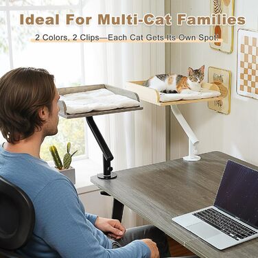 Кігтечка-ліжко для котів PAWZ Road з інтерактивним м'ячиком, крутиться на 360°, підходить для ваги до 22.5 кг (сірий, прямокутне дерев'яне ліжко)