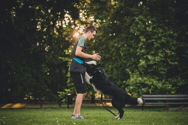 Іграшка для собак Dingo у вигляді овечки з хутром, банджі-ручка, апорт для тренувань і перетягування, зелена