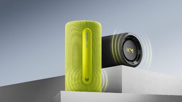 Loewe We. HEAR pro: Портативна Bluetooth колонка 60W, чорна. Водонепроникна, до 17 годин роботи, для дому та вулиці