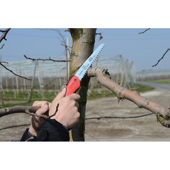 Секатор FELCO 15 з роликовою ручкою та складана пилка FELCO 600 (лезо 16 см, діаметр зрізу 50 мм, довжина 35 см, для обрізки гілок, садовий інструмент)