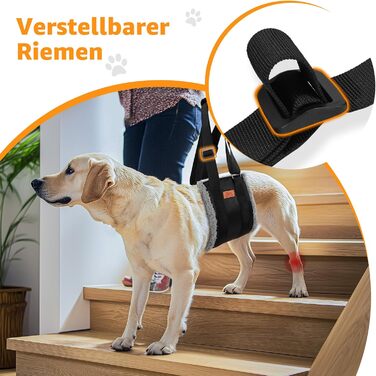 Регульована переносна допомога для собак, переносна лямка для реабілітації, поранених, травмованих або літніх собак - шлейка для собак як засіб допомоги при ходьбі для маленьких і великих собак, сірий колір, XL