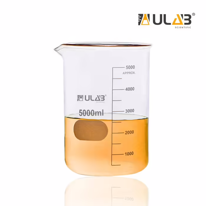 Glas Berker 5000ml, Borosilicate Glass Beaker with Graduations for Laboratory, Kitchen, School UBG1024