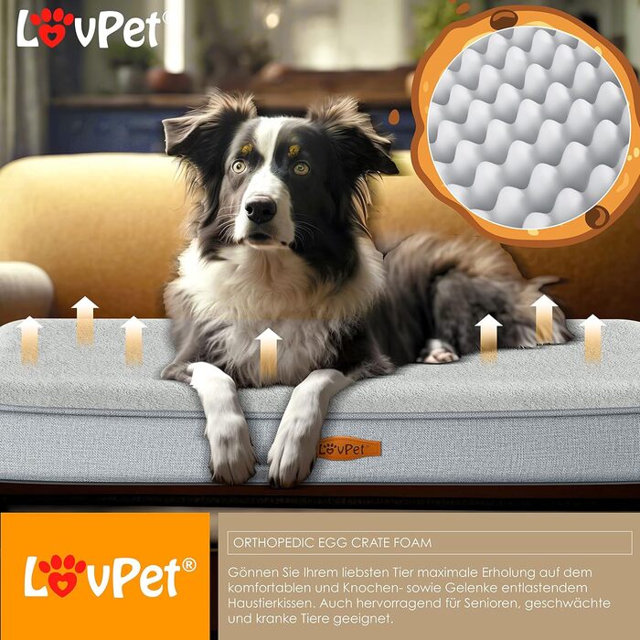 Lovpet® Orthopedic Dog Bed, Dog Cushion, Dog Basket Cookie, Incl. Bowl + 3X Chew Bones, Dog Sofa for Small, Medium & Large Dogs, Removable and Washable Cover, L 91x69x7.6 cm Anthracite (L (91 x 69 x 7.6 cm), Grey / Light Grey)