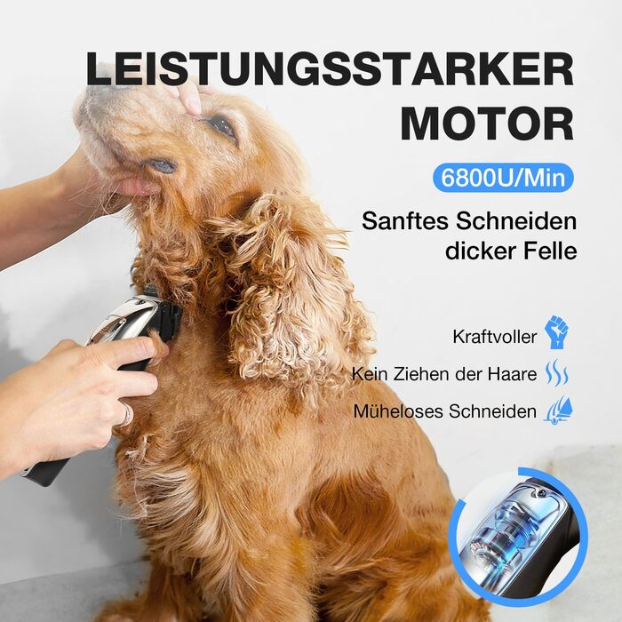 Професійна машинка для стрижки собак Leise - для густого та кучерявого хутра, з нержавіючої сталі