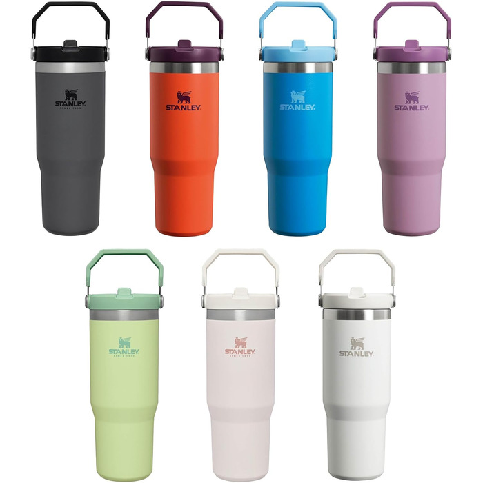 Stanley Flip Straw Tumbler 1.0 Drinking Bottle with Straw 0.89L - Thermos Bottle Keeps Drinks Cold for 12+ Hours - Dishwasher Safe - Sports Bottle - Water Bottle BPA Free - Frost