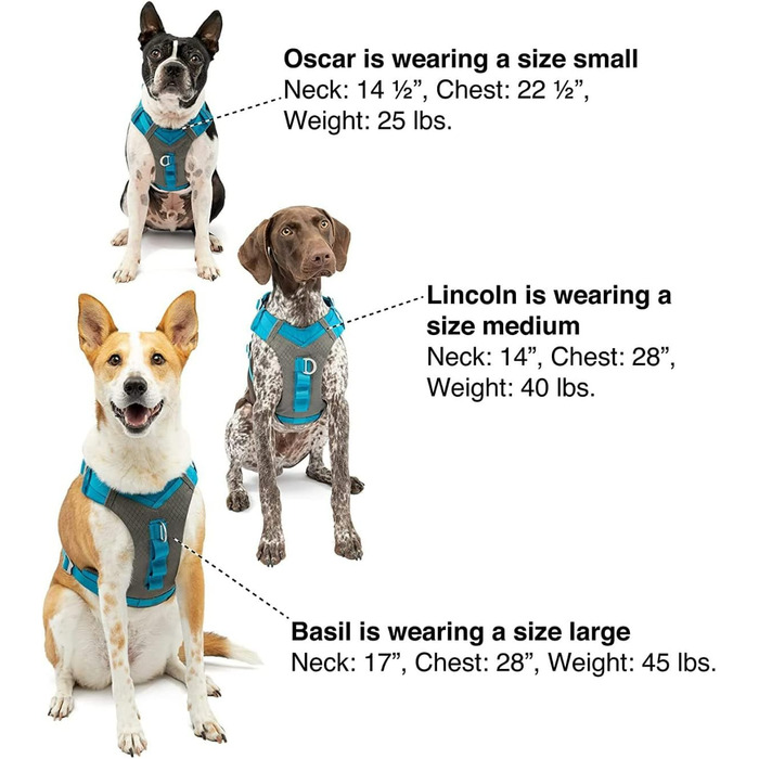 Шлейка для собак Kurgo Journey Air, посилена, з ручкою для контролю, для прогулянок та бігу, відображає світло, оранжева, X-Large