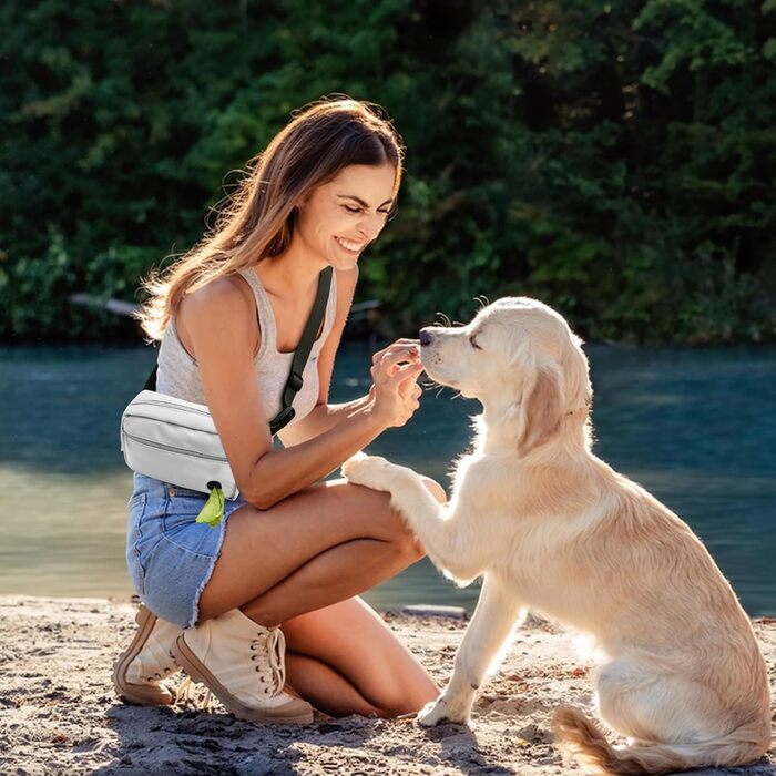 Сумка для собак з карабіном, сумка для тренування цуценят з відділенням для ласощів та тримачем для пакетів, зручна сумка для перенесення їжі та відходів для тварин з регульованим поясом (Сіра)