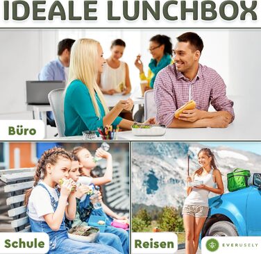 Бенто-бокс Everusely 0.8L з нержавіючої сталі з контейнером для спецій та органайзером для перекусів (3 відділення)