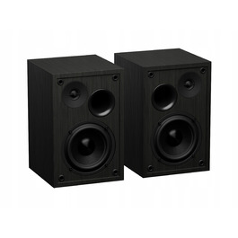 Комплект акустичних систем 2.0 Genesis Arsen 302BT, 20 Вт, чорний