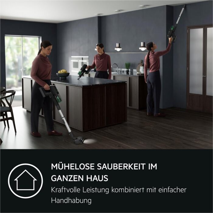 Пылесос AEG ANIMAL 8000 AP81AB25UG: аккумуляторный, 5-ступенчатая фильтрация, цифровая индикация, для дома и животных