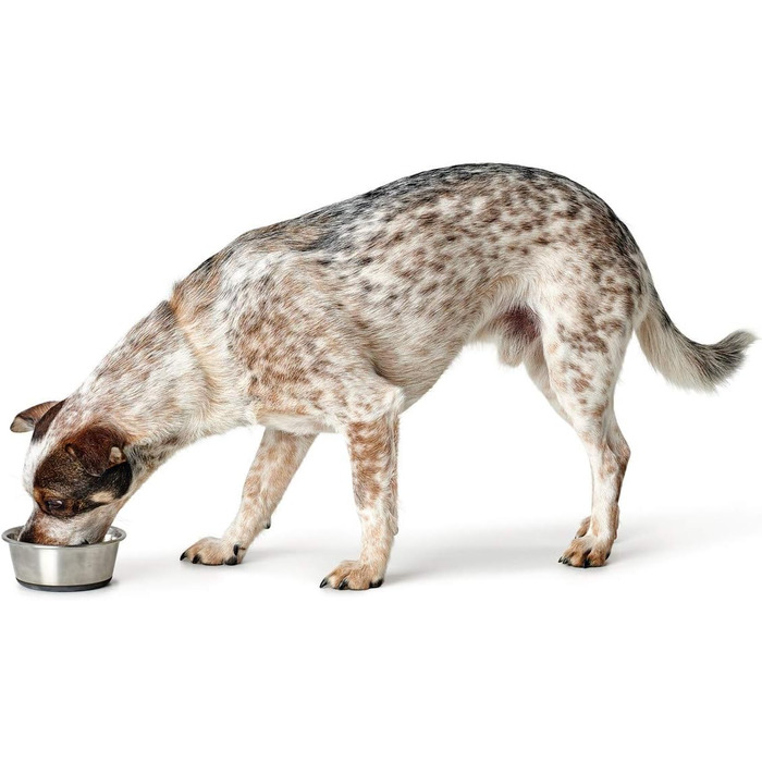 Миска для тварин HUNTER з нержавіючої сталі, 550 мл, з силіконовим дном, легко миється, довговічна