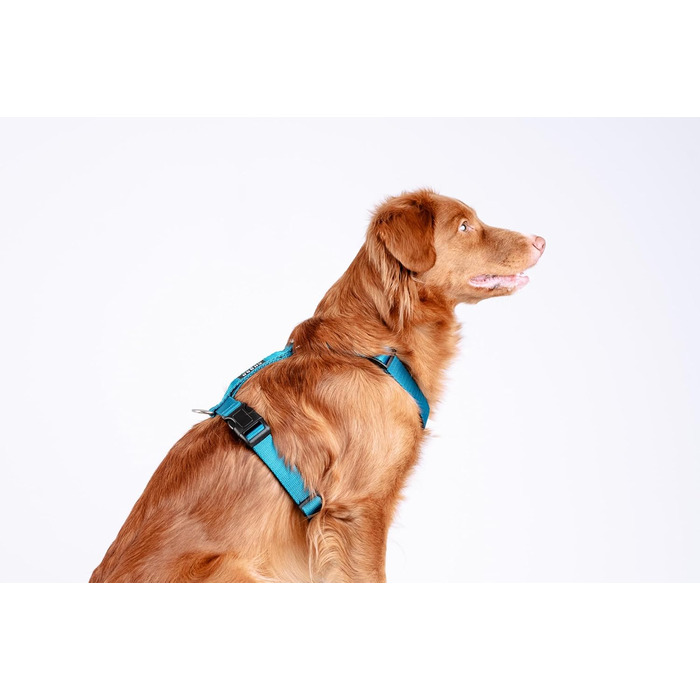 Шлейка для собак Chaba Guard середнього розміру, контрольована, протисмикова, регульована, комфортна та легка, класична Step-in, для прогулянок, розмір L, колір Морський