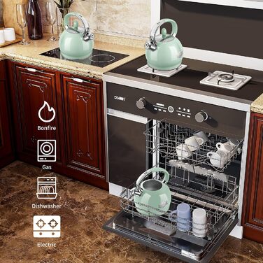 Чайник для плити RETTBERG, Induktion, 2.6 л, Ретро, з нержавіючої сталі, Cool-Touch ручка, кремовий (М'ятно-зелений)