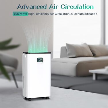 12L/Day Dehumidifier with Digital Humidity Display, Automatic Dehumidification, 24H Timer, Continuous Drainage, 2.5L Water Tank, Drain Hose, Ideal for Basements, Against Moisture