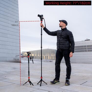 Однонога штатив IFOOTAGE Cobra 3 A180T: штатив-монопод, телескопічний, з алюмінію, для фото- та відеозйомки, сумісний з DSLR та відеокамерами (180 см)