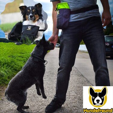 Сумка для корму для собак великих порід, 4 в 1 | Для тренувань, з бананкою, кліпсою, лямками | 4 відділення для ласощів (19x14x7 см)