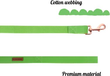 Елегантний шкіряний нашийник та поводок для собак - міцний аксесуар для маленьких собак, зелений (1 шт.)