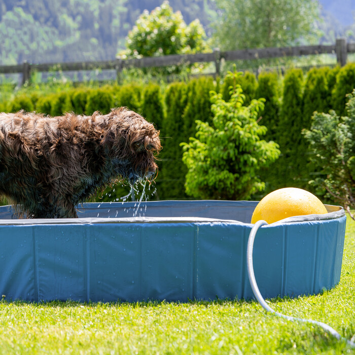 Relaxdays Blue Dog Pool