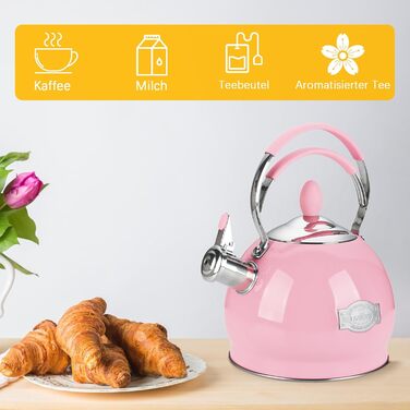 Квітковий чайник 2.6L з нержавіючої сталі з термостійкою ручкою, сумісний з усіма плитами (індукційними)