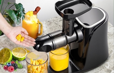 Горизонтальна шнекова соковижималка Amzchef GM3001-BK 150 Вт