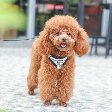 Нашийник для собак з повідком Anti-Zug, світловідбиваючий, для маленьких собак, кошенят, котів (XS, Біла хвиля)