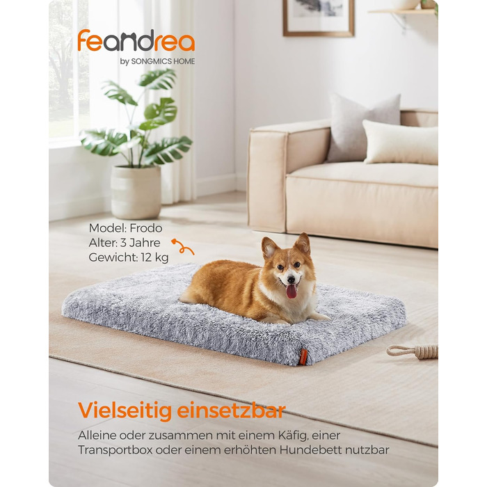 Feandrea Dog Bed, orthopedic dog cushion, padded with convoluted foam, removable and washable cover, size M, for small and medium dogs, 80 x 50 x 8 cm, PGW211G02 (L 95 x W 60 x H 8 cm, Ombré Gray)