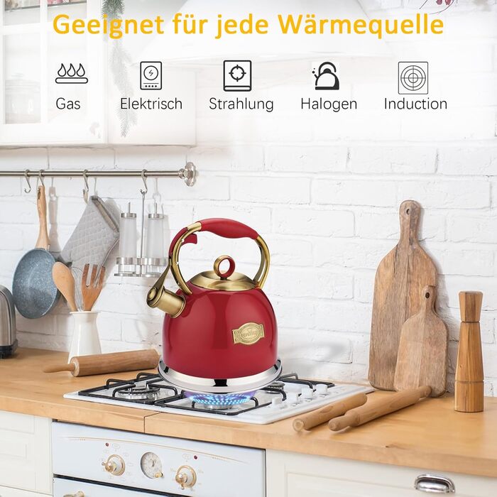 Чайник-свисток 3л з нержавіючої сталі, з термостійкою ручкою, для індукційних плит (червоний)