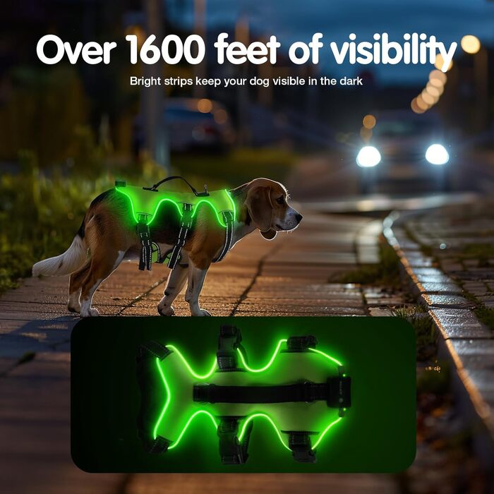 Світловідбиваючий нашийник для собак Jewyow з LED, перезаряджуваний, водонепроникний, 3 режими, зелений, розмір M