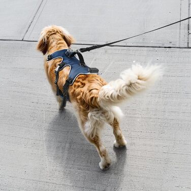 Світловідбиваючий нашийник для собак Jewyow з LED, перезаряджуваний, м'який, регульований, водонепроникний, зелений (XL)