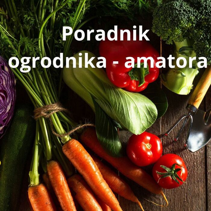 Акумуляторна газонокосарка Yato, 34 см