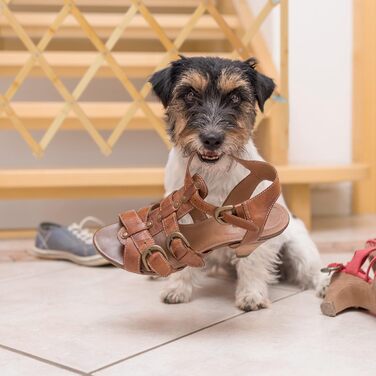 Захисний загороджувач для собак Reaxdays: сітка-хвіртка для дверей та сходів, розтягується до 116,5 см, висота 82,5 см, колір натуральний (M)