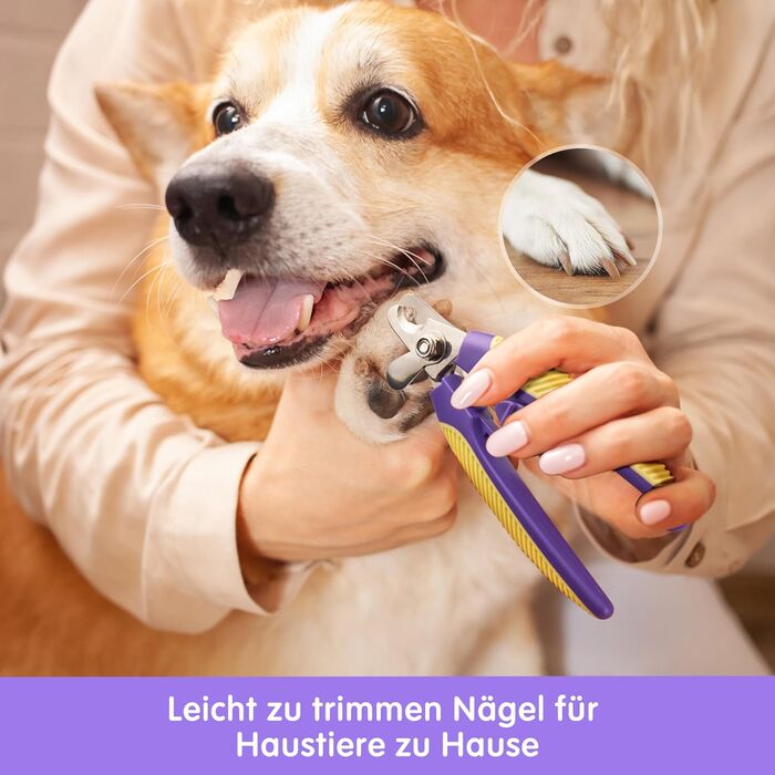 Ножиці для грумінгу котів та собак, щітка для видалення підшерстка, гребінець для собак - щітка для довгошерстих та короткошерстих, самоочисна щітка для тварин