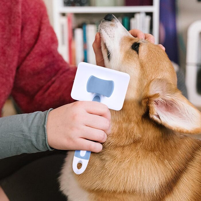 Щітка для котів та собак Vinabo: видалення підшерстя, легке розчісування, самоочищення, блакитна