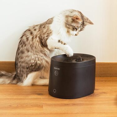 Автоматичний годівниця для домашніх тварин Cecotec Pumba 1600 Purrfect Meal - 1.6 л, 4 відділення, LED, таймер, запис голосу + фонтанчик для води 2.5 л