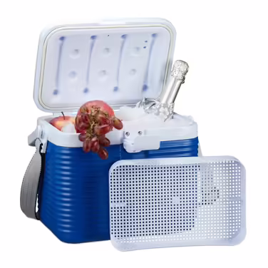 Relaxdays Small Cooler Box, 8 Liters