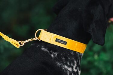 Набір повідка та нашийника для собак Aring Pet, зручний регульований набір для хлопчиків та дівчаток, темно-зелений (XS, темно-жовтий)
