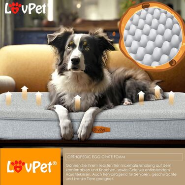 Lovpet® Orthopedic Dog Bed, Dog Cushion, Dog Basket Cookie, Incl. Bowl + 3X Chew Bones, Dog Sofa for Small, Medium & Large Dogs, Removable and Washable Cover, L 91x69x7.6 cm Anthracite (L (91 x 69 x 7.6 cm), Grey / Light Grey)