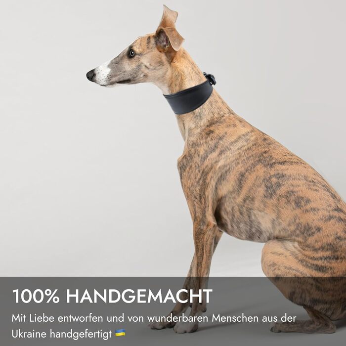 Стильне шкіряне нашийник для породистих собак (Вінтерхаунд, Віпет, Салукі) з QR-кодом, розмір M