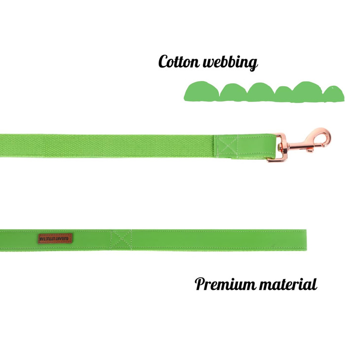 Елегантний шкіряний нашийник та поводок для собак - міцний аксесуар для маленьких собак, зелений (1 шт.)
