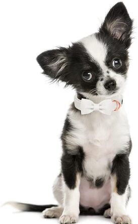 Легкий собачий ошийник Aring Pet для дівчаток, бавовна, з бантиком, регульований, для великих собак (S, білий)