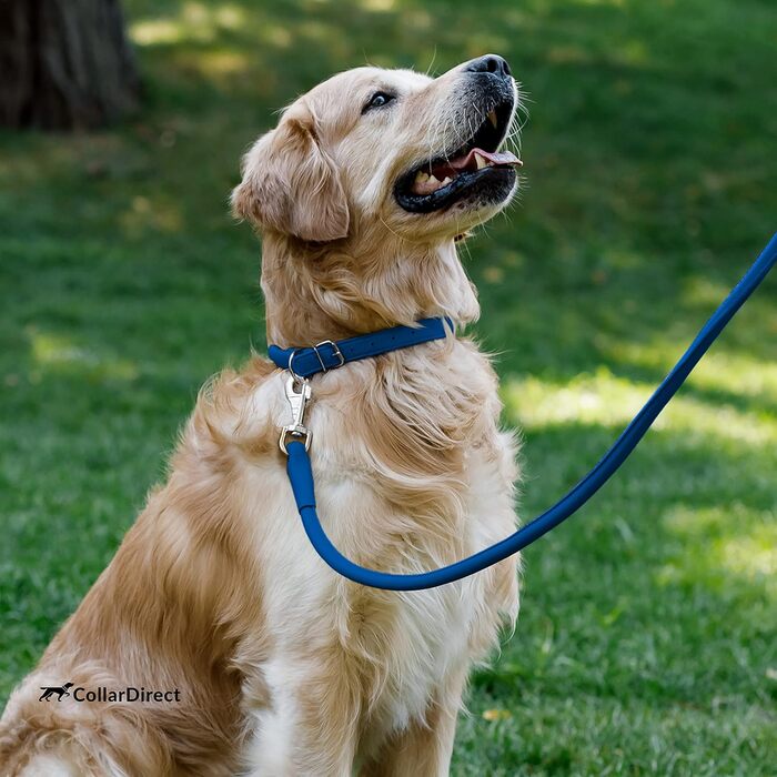 Шкіряний нашийник для собак CollarDirect, круглий, м'яко стьобаний, ручної роботи, з натуральної шкіри, для цуценят та дорослих собак, малих та великих порід, рожевий, червоний, фіолетовий, синій (темно-синій), 18-20 см