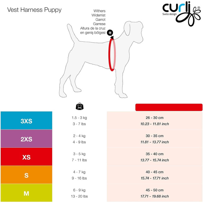 Шлейка для собак Air-Mesh блакитна з коламі, розмір M & поводок L блакитний з коламі