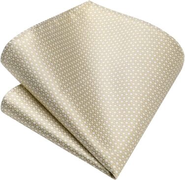 Набір краваток та нагрудних хустинок Enlision для чоловіків: краватка, нагрудна хустинка, краватоклип. Paisley, в клітинку. Для вечірок, весілля, бізнесу.