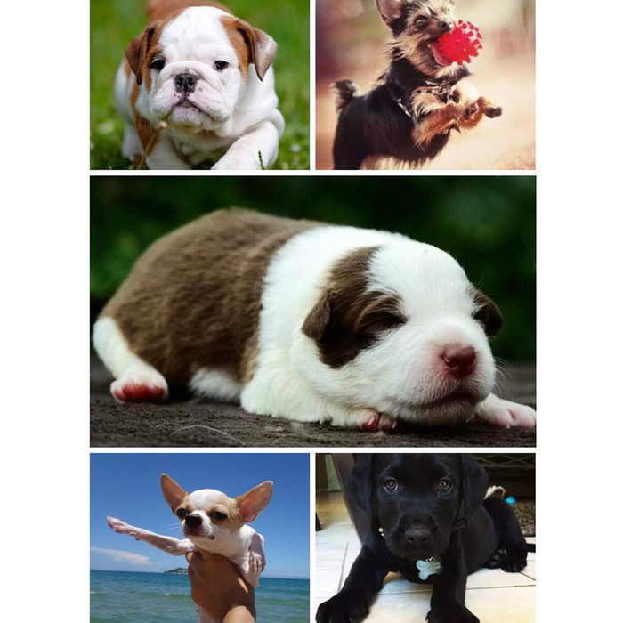 Килимок для кота та собаки AcserGery: м'яке ліжко, теплий лежак, чорний колір